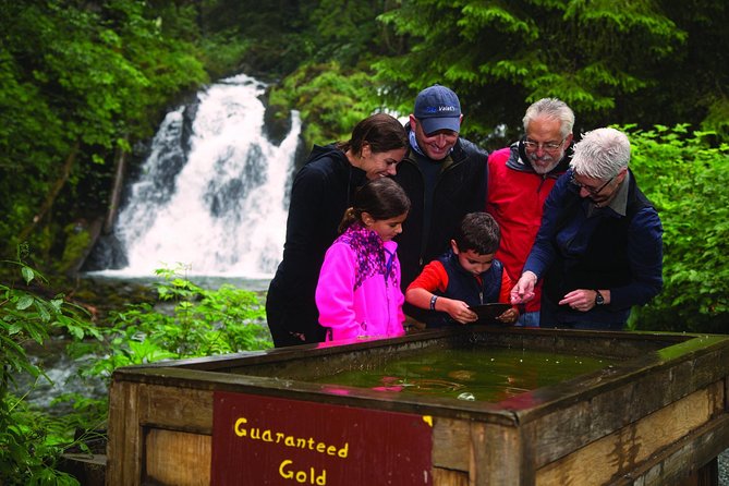 Juneau Whale Watching and Salmon Bake - Gold Creek Salmon Bake: more than a buffet lunch