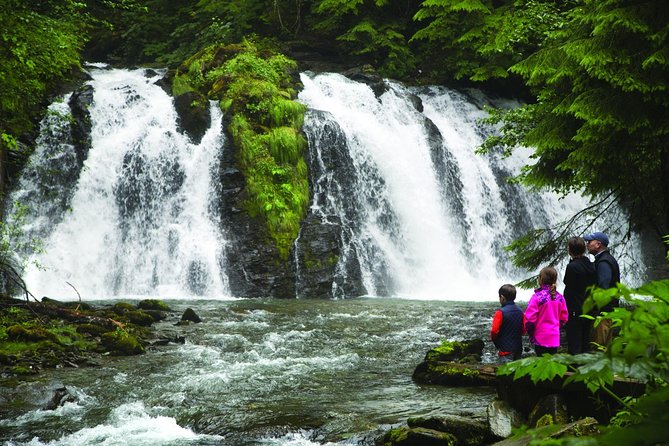 Juneau Whale Watching and Salmon Bake - Getting around on the day: coach + shuttle rhythm