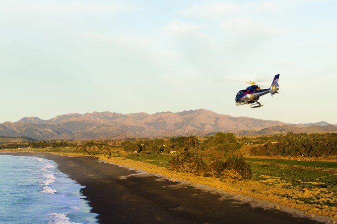 Kaikoura Helicopters Extended Whale Watch - Photography and comfort: what to wear for a helicopter sea-level ride