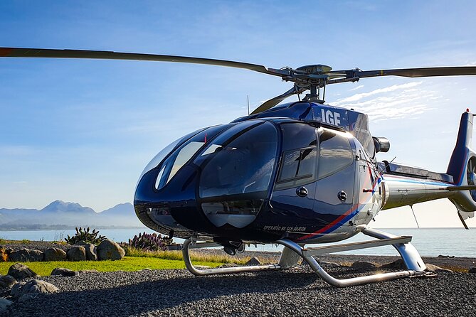Kaikoura Helicopters Extended Whale Watch - Price and value: is $313.39 worth it?