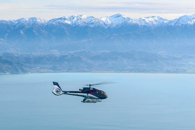 Kaikoura Helicopters Extended Whale Watch - Who this suits best (and who should think twice)