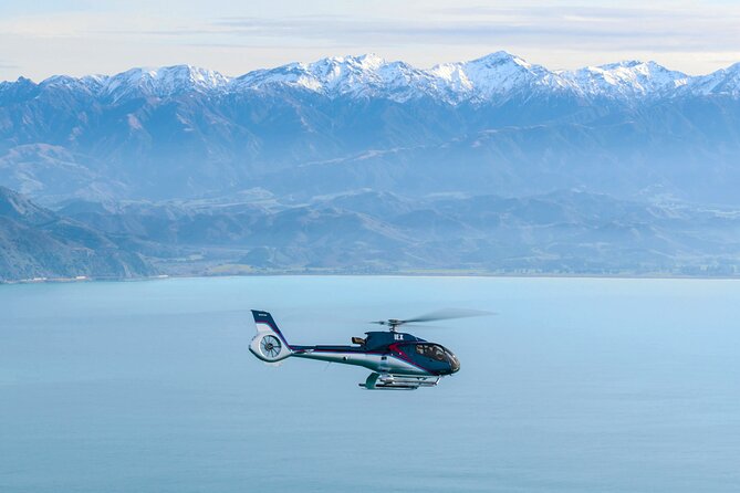 Kaikoura Helicopters Top n Tail Whale Watch flight - Key things to know before you fly