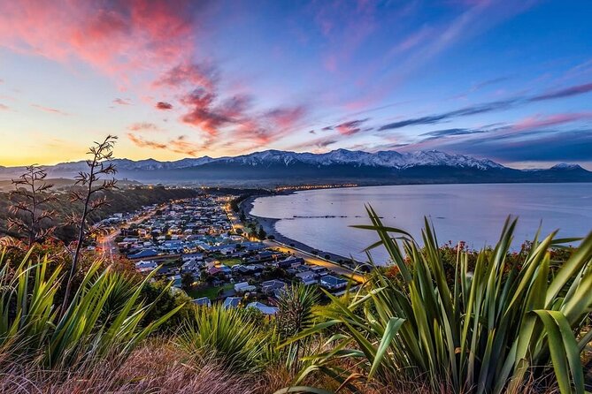 Kaikoura Private Whale Watching Day Trip from Christchurch - Why private vehicle time feels different in Kaikōura