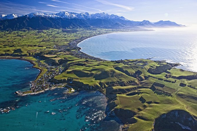 Kaikoura Whale Watch Day Tour from Christchurch - Key things to know before you go