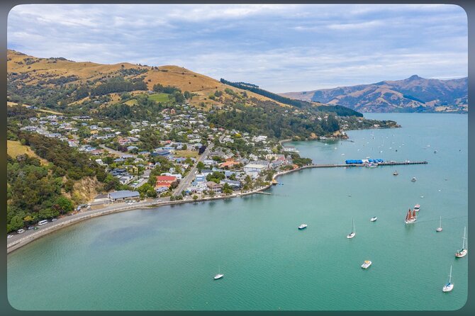 Kaikoura Whale Watch Day Tour from Christchurch including Coastal Pacific Train - Getting Your Day Timing Right (Without Losing Your Mind)