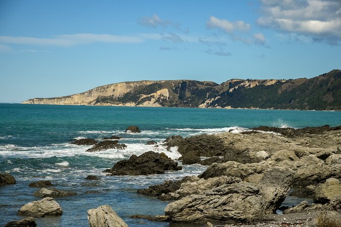 Kaikoura Whale Watch Tour from Christchurch - Small Group - Kaikōura town stop: time to reset before the boat
