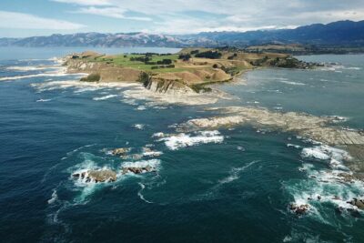 Kaikoura Whale Watch Tour from Christchurch - Small Group - Cheviot and Hundalee Hills: quick legs, seal sightings