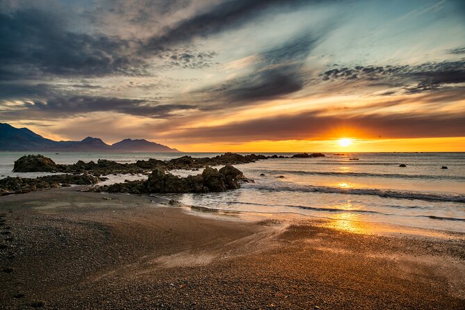 Kaikoura Whale Watch Tour from Christchurch - Small Group - Waipara Hills: wine tastings if timing permits