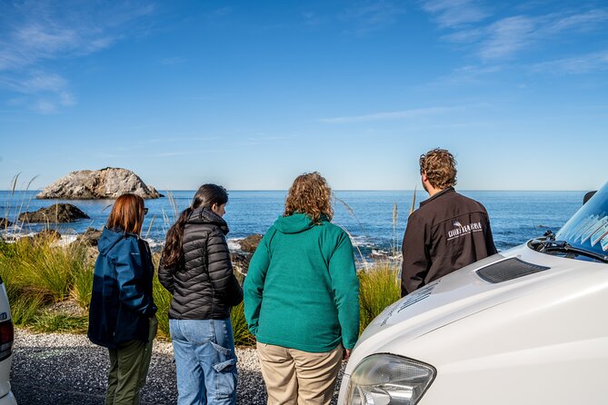 Kaikoura Whale Watch Tour from Christchurch - Small Group - Price and value: what $235.82 buys in real life