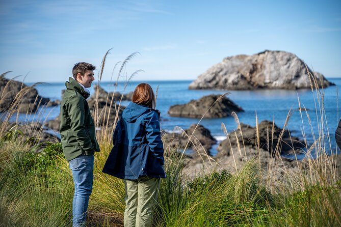 Kaikoura Whale Watch Tour from Christchurch - Small Group - Who should book this tour (and who should think twice)