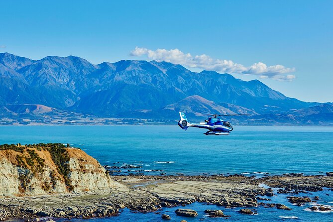 Kaikōura Whale Watching - 1hr 20min Ultimate Adventure - What to know before you fly: Kaikōura Ultimate Adventure highlights