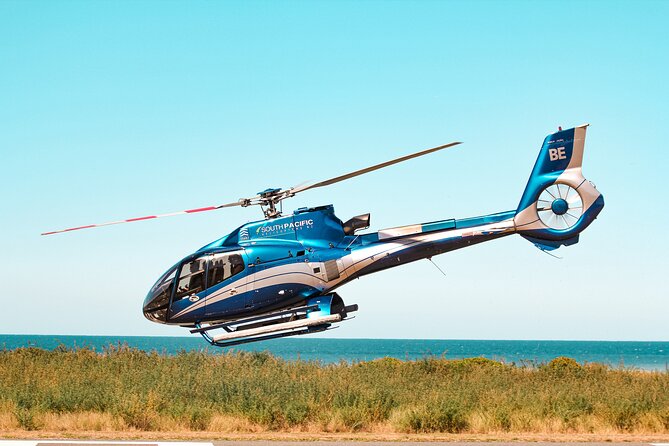 Kaikōura Whale Watching - 1hr 20min Ultimate Adventure - Helicopter views that make whales feel bigger than life