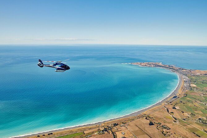 Kaikōura Whale Watching - 1hr 20min Ultimate Adventure - Watching dolphins and seals near the shoreline