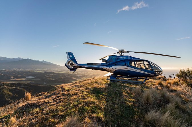 Kaikoura Whale Watching - 45 Minute Ocean Safari - Meeting Point, Timing, and Easy Planning