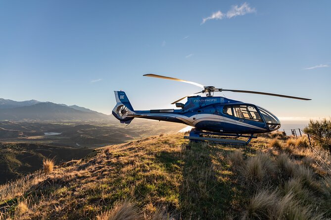 Kaikoura Whale Watching - 45 Minute Ocean Safari - Should You Book This Kaikōura Helicopter Whale Safari?