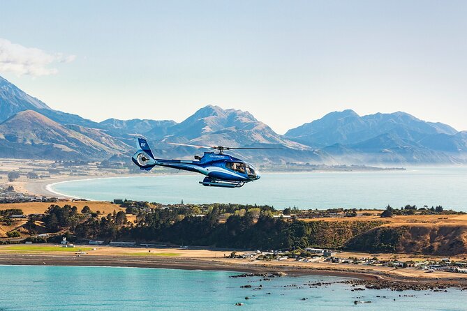 Kaikōura Whale Watching and Scenic Landing - 1hr Premier Tour - The 1-hour helicopter format: short, focused, and built for spotting