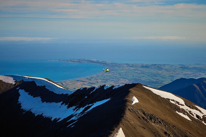 Kaikōura Whale Watching and Scenic Landing - 1hr Premier Tour - Kaikōura Canyon currents: why the whale odds are stronger here