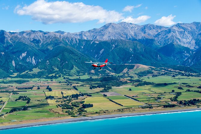Kaikōura Whale Watching Scenic Flight (40 Minutes) - The Pilot Commentary: More Than Trivia, Real Search Intelligence