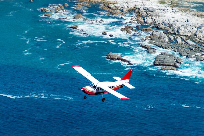 Kaikōura Whale Watching Scenic Flight (40 Minutes) - Whale Sightings: The Luck Factor You Should Still Plan Around