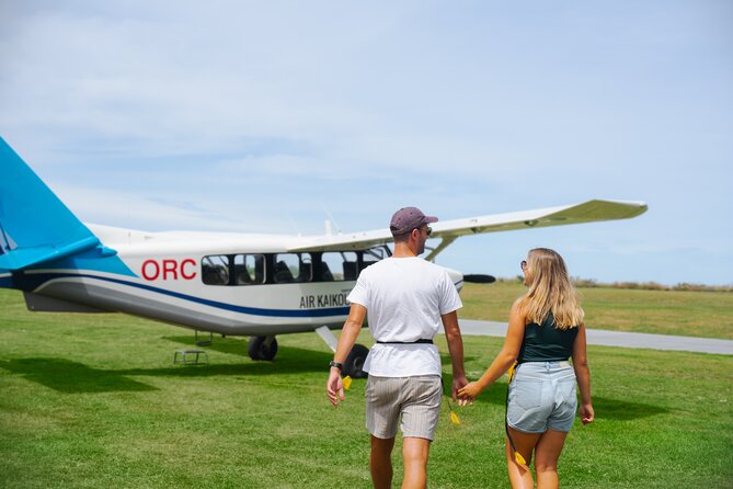 Kaikōura Whale Watching Scenic Flight (40 Minutes) - Where You Meet and How the Pre-Flight Briefing Works