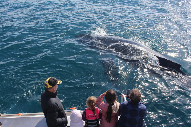 Kalbarri Whale Watching Tour - Gantheume Bay Circuit: Cliffs, Coastal Points, and Close-Up Chances