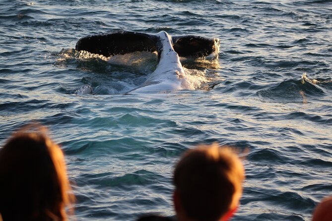 Kalbarri Whale Watching Tour - Group Size, Weather Limits, and Practical Tips for Your Day
