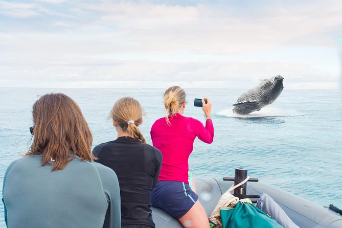 Kauai Raft Adventure: Whale Watch Discovery - Quick Hits Before You Go