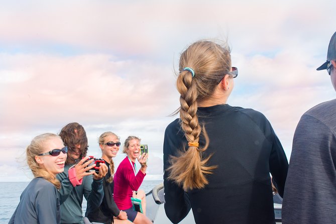 Kauai Raft Adventure: Whale Watch Discovery - Getting To Kauai Sea Tours in Eleele and Timing Your Arrival