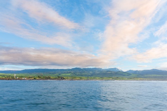 Kauai Raft Adventure: Whale Watch Discovery - Raft Reality Check: Wet, Bouncy, and How to Stay Comfortable