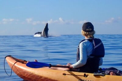 Kayak and Whale Watching Tour - Makena Landing Park: Your 7:00 am Start and Morning Rhythm