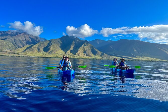 Kayak & Turtle Town Snorkel(Turtles Guaranteed) + Whale Watching - Key things I’d circle before you book