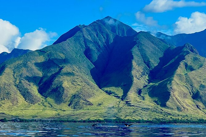 Kayak & Turtle Town Snorkel(Turtles Guaranteed) + Whale Watching - Paddling the coast: where the real “Maui from the water” moment happens