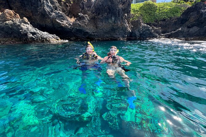 Kayak & Turtle Town Snorkel(Turtles Guaranteed) + Whale Watching - Whale watching on a kayak: close encounters without the big-boat feel