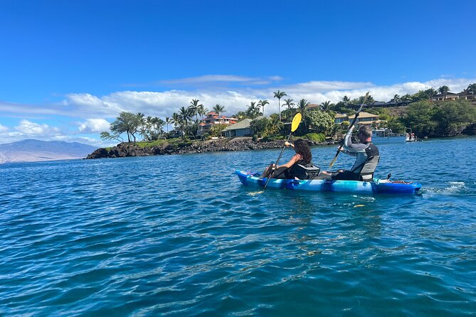 Kayak & Turtle Town Snorkel(Turtles Guaranteed) + Whale Watching - Fitness, swimmer comfort, and wind: the real decision points