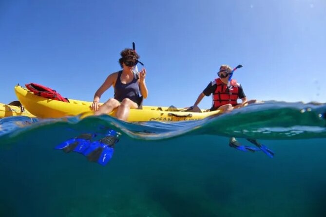 Kayak, Whale Watch and Snorkel - Key things to know before you go