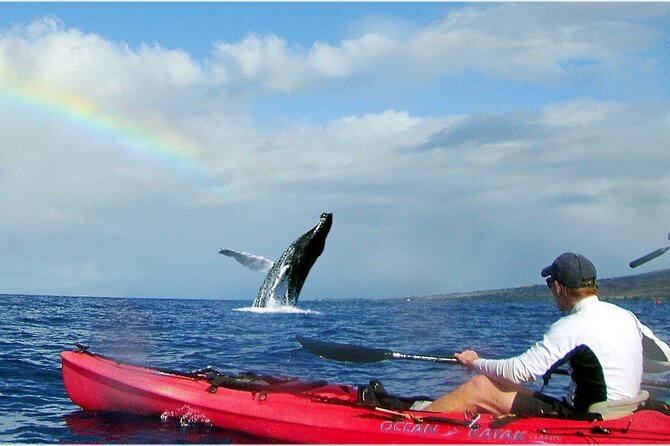 Kayak, Whale Watch and Snorkel - Kayak from Olowalu Beach at 8:00 am: getting on the water efficiently