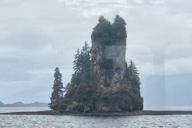 Ketchikan Whale Watching and Nature Tour - Binoculars and scanning strategy: turn surfaces into sightings