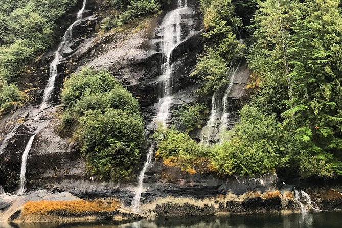 Ketchikan Whale Watching and Nature Tour - A few practical tips before you book