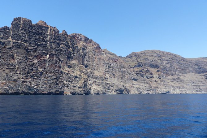 Los Gigantes Whale Watching Charter by Sail Boat - Lunch, snacks, and drinks: the onboard value is real