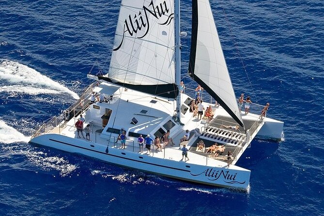 Luxury Catamaran Whale Watch - Luxury Catamaran Whale Watching From Maalaea Harbor