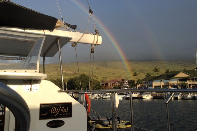 Luxury Catamaran Whale Watch - Space and Comfort on a Maximum-65 Catamaran