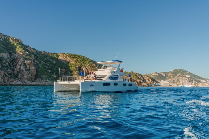 Luxury Catamaran Whale Watching Cabo San Lucas - The Door-to-Door Van Pickup: Easy Start, One Thing to Watch