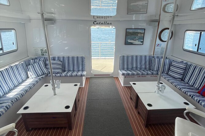 Luxury Whale Watching: Fewer People, Extra Speed, Expert Staff - Price and Value: Is $69 a Good Deal?