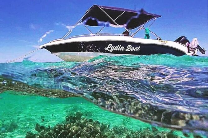 Lydia Boat Mauritius :Private boat tour:Whales&Dolphins encounter - Key highlights worth getting excited about