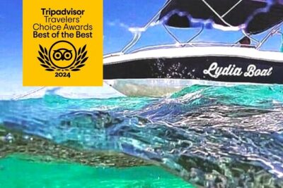 Lydia Boat Mauritius :Private boat tour:Whales&Dolphins encounter - Dolphin watching and swimming: what this is really like