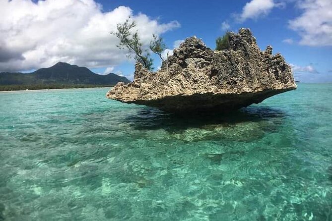 Lydia Boat Mauritius :Private boat tour:Whales&Dolphins encounter - Oysters and sea urchins: small tasting, big payoff