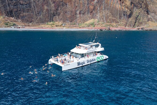 Madeira Dolphin and Whale Watching on a Ecological Catamaran - Key highlights worth your attention