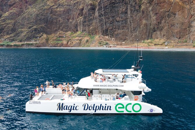 Madeira Dolphin and Whale Watching on a Ecological Catamaran - Funchal start point and what the timing really feels like