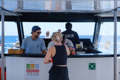 Madeira Dolphin and Whale Watching on a Ecological Catamaran - How spotters and guides turn the search into a real hunt (with rules)
