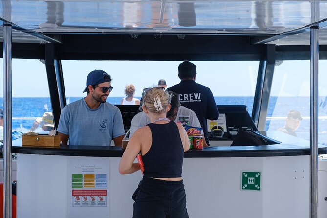Madeira Dolphin and Whale Watching on a Ecological Catamaran - How spotters and guides turn the search into a real hunt (with rules)